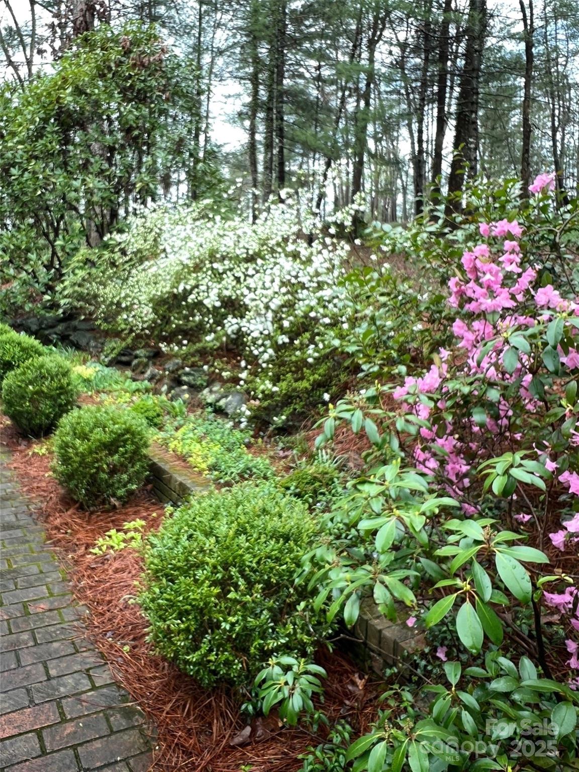 Biltmore Forest - Residential