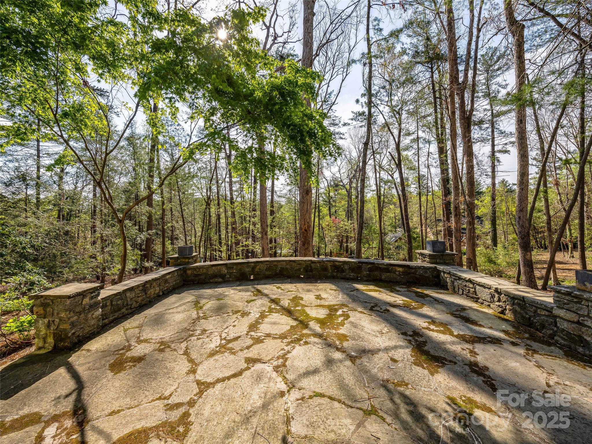 Biltmore Forest - Residential