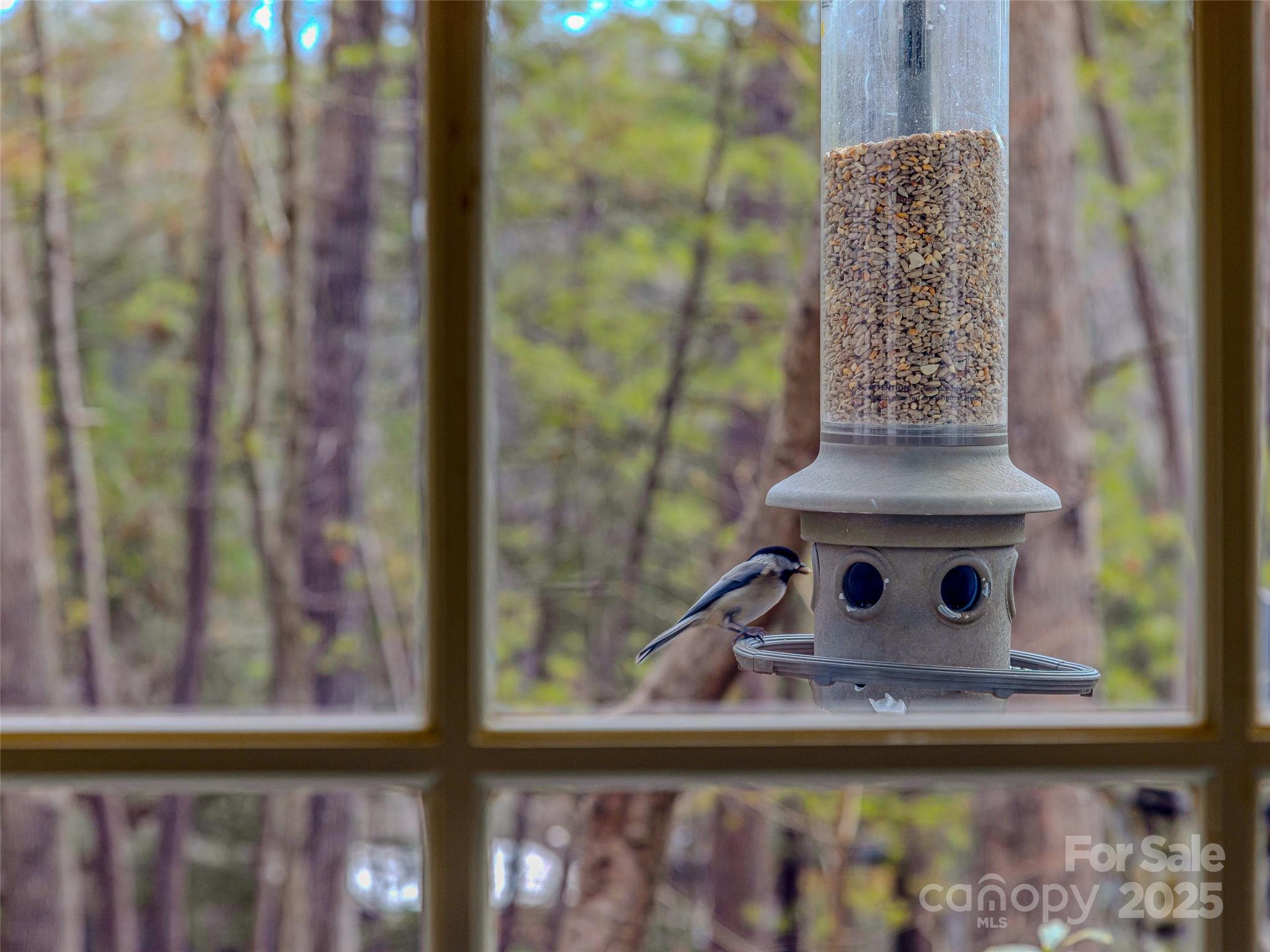 Biltmore Forest - Residential