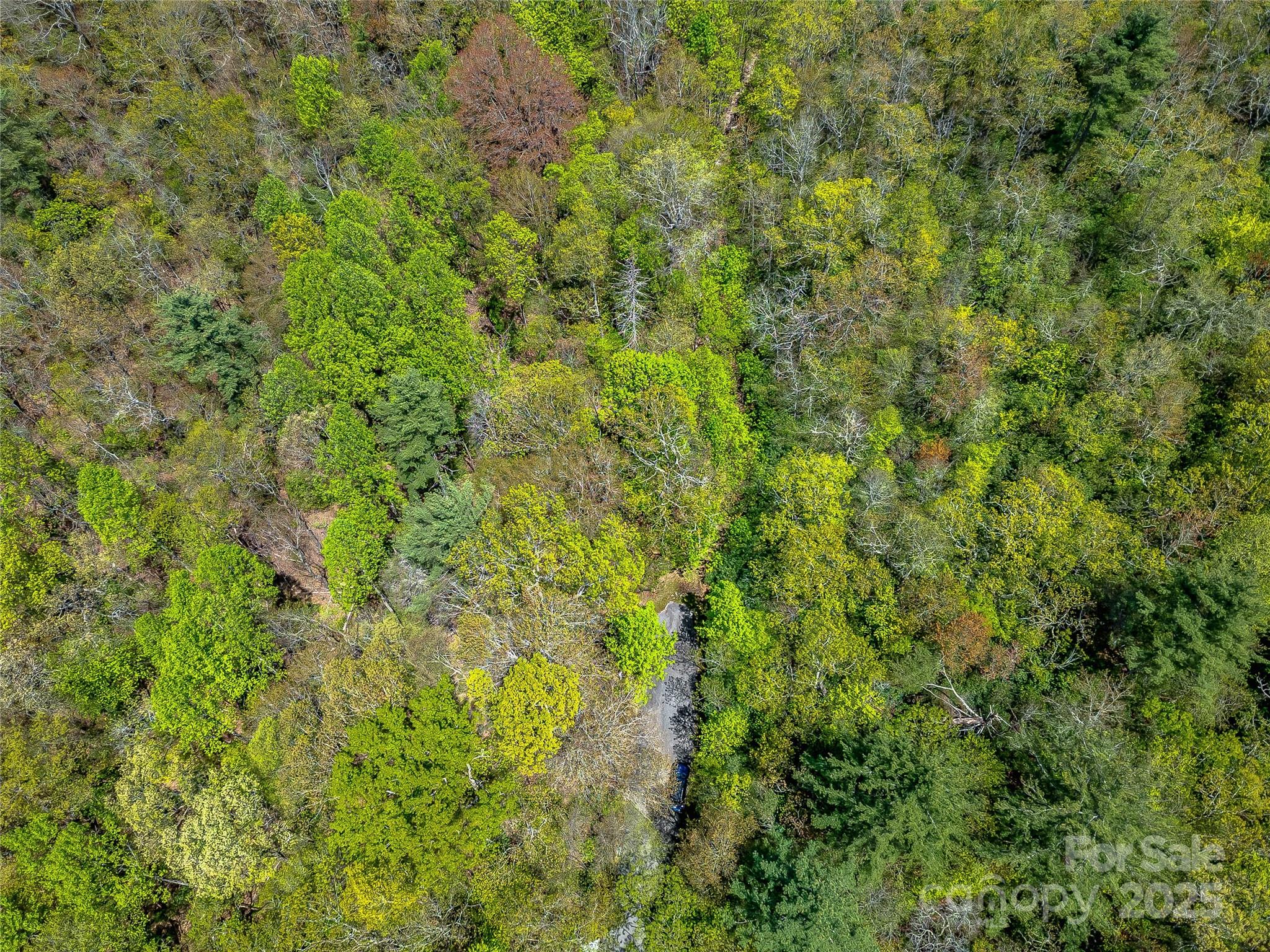 Lake Toxaway Estates - Land