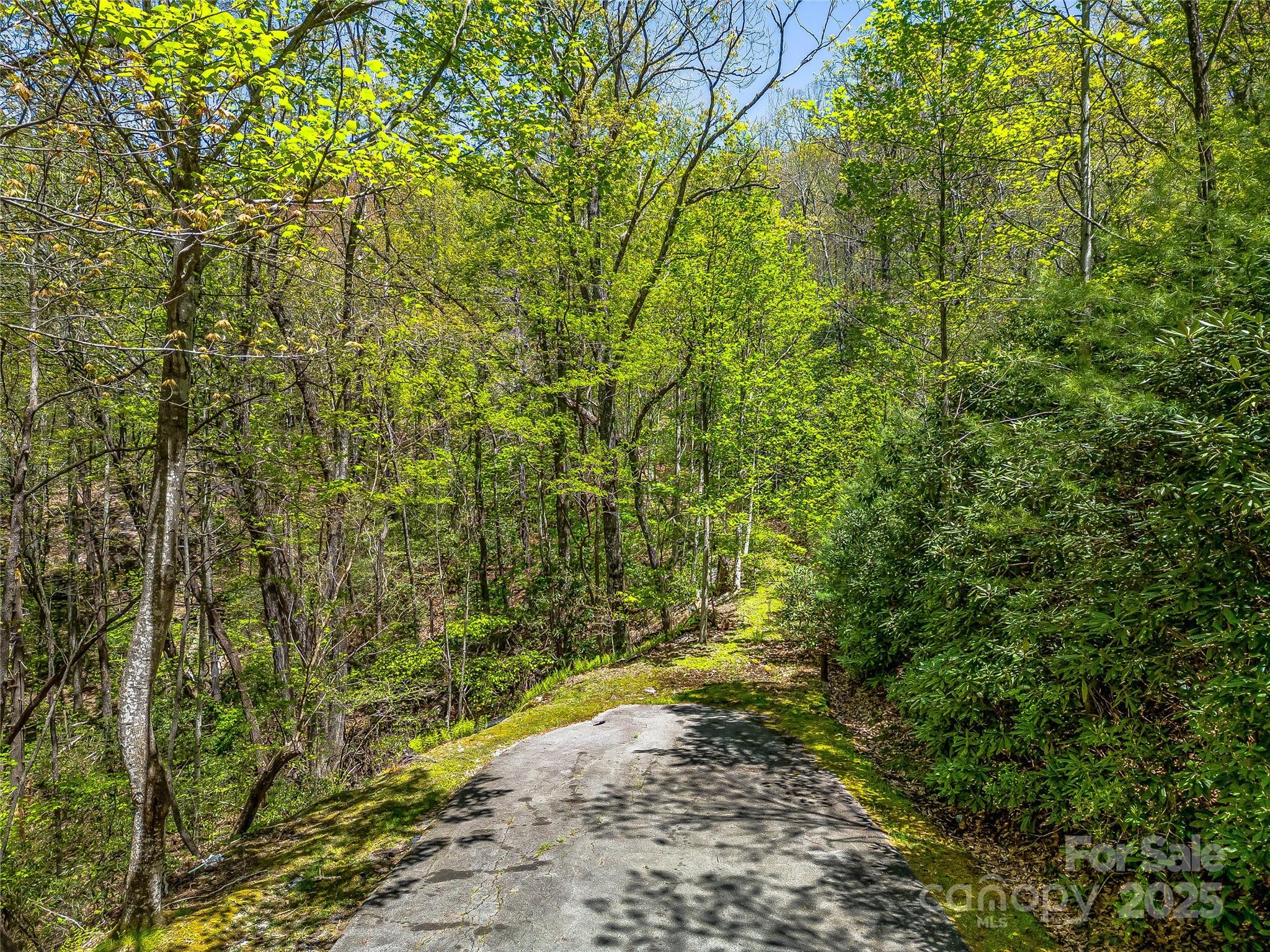 Lake Toxaway Estates - Land
