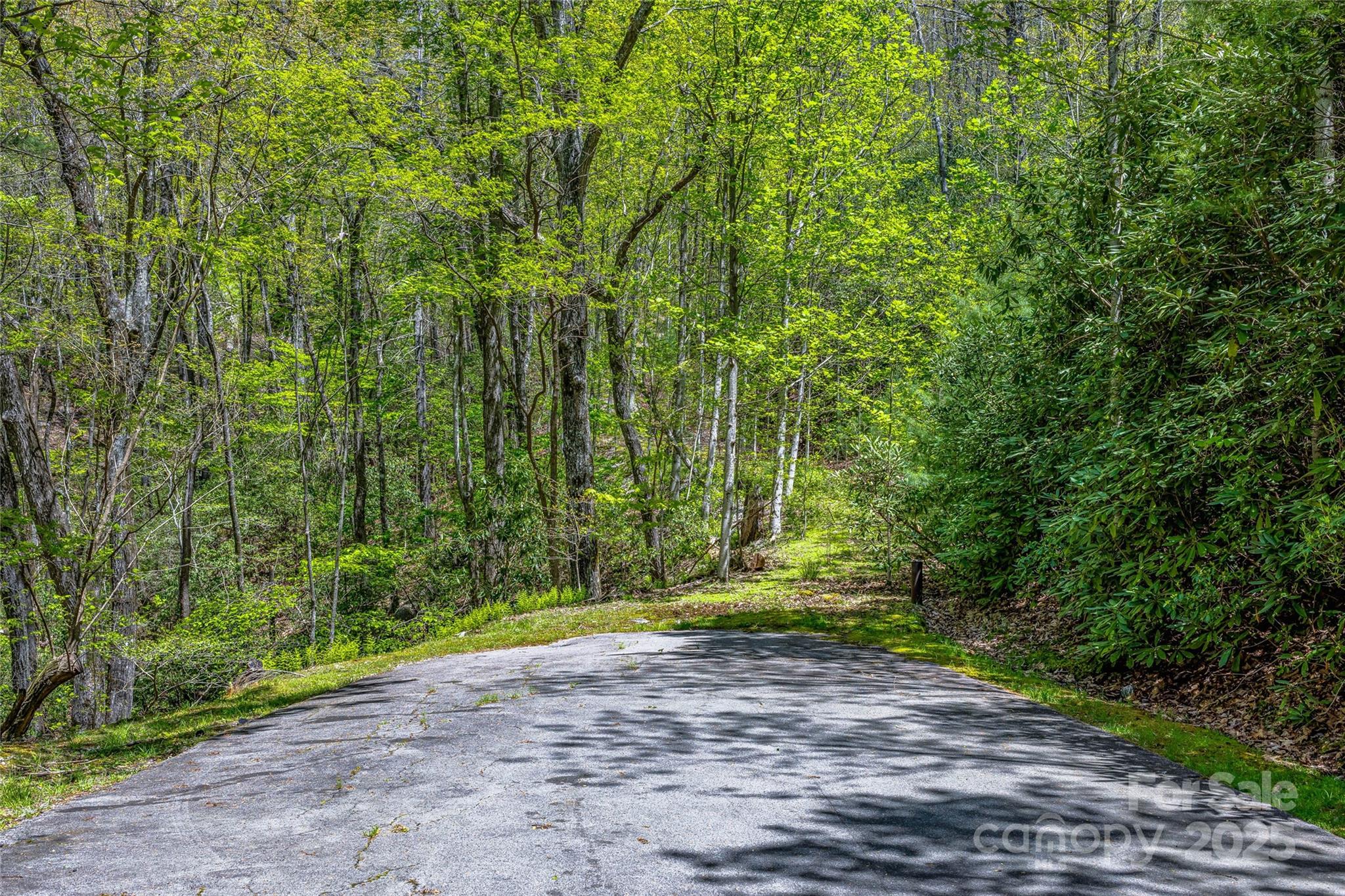 Lake Toxaway Estates - Land