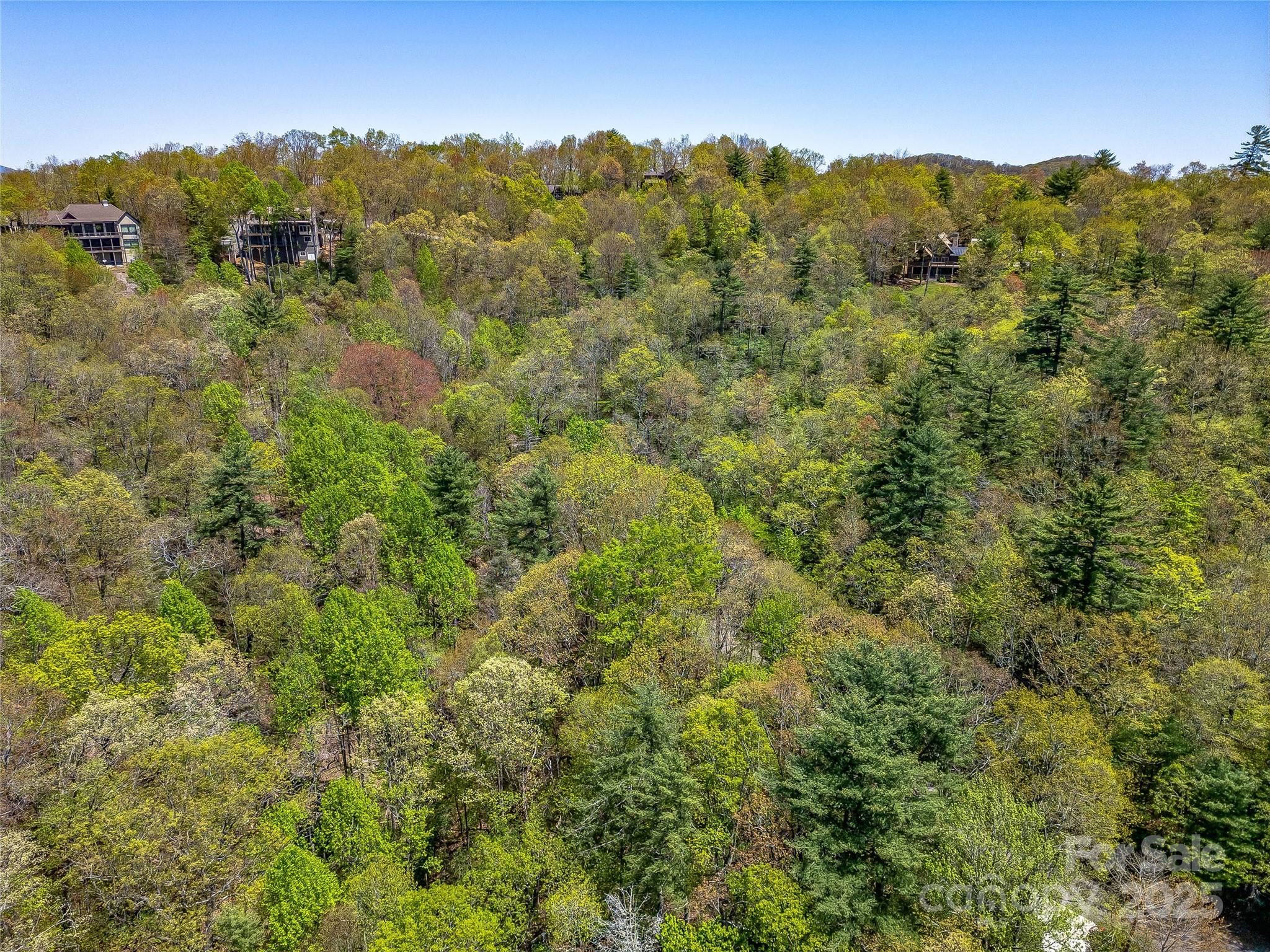 Lake Toxaway Estates - Land