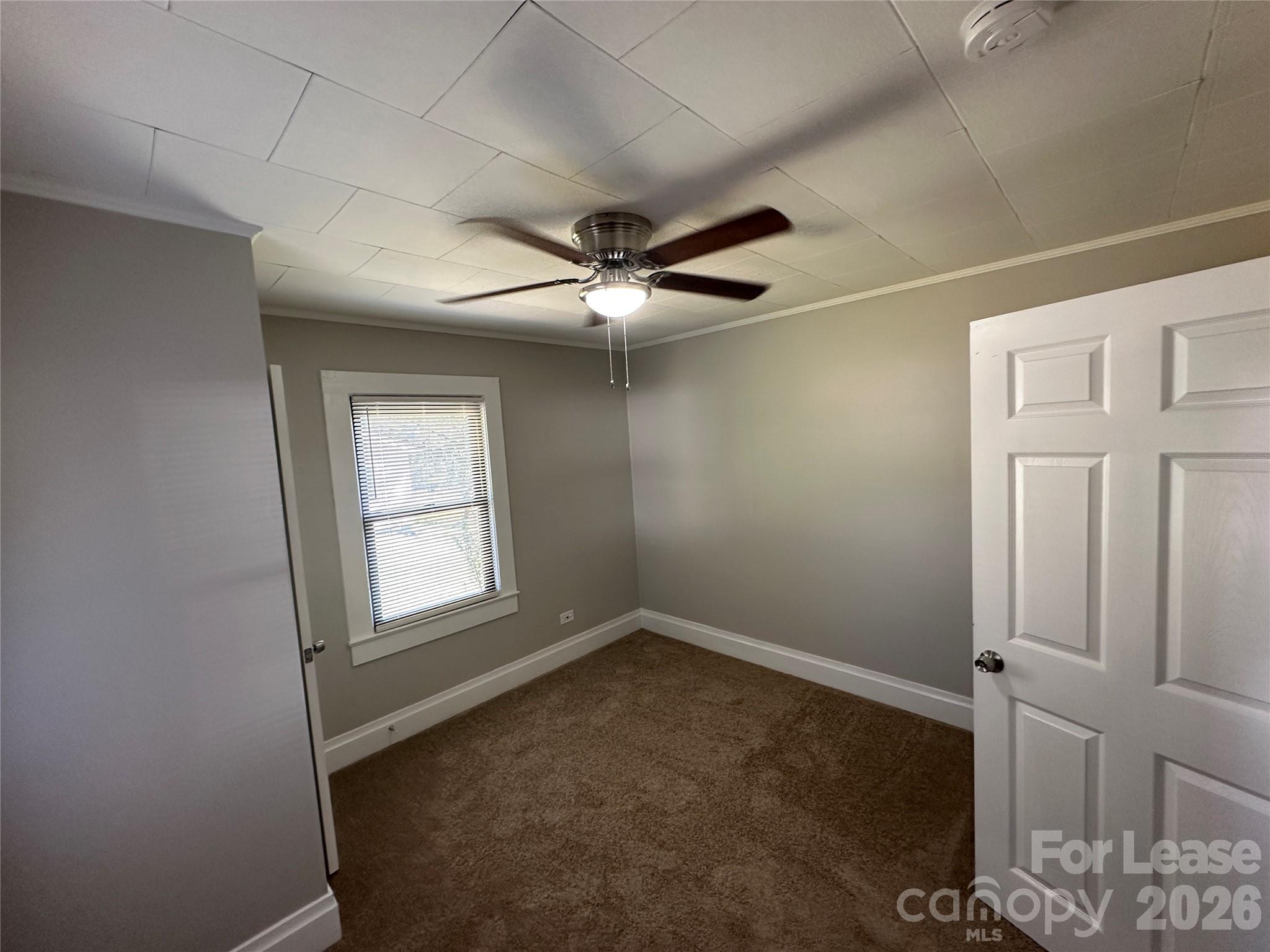 Dover Heights - Residential Lease