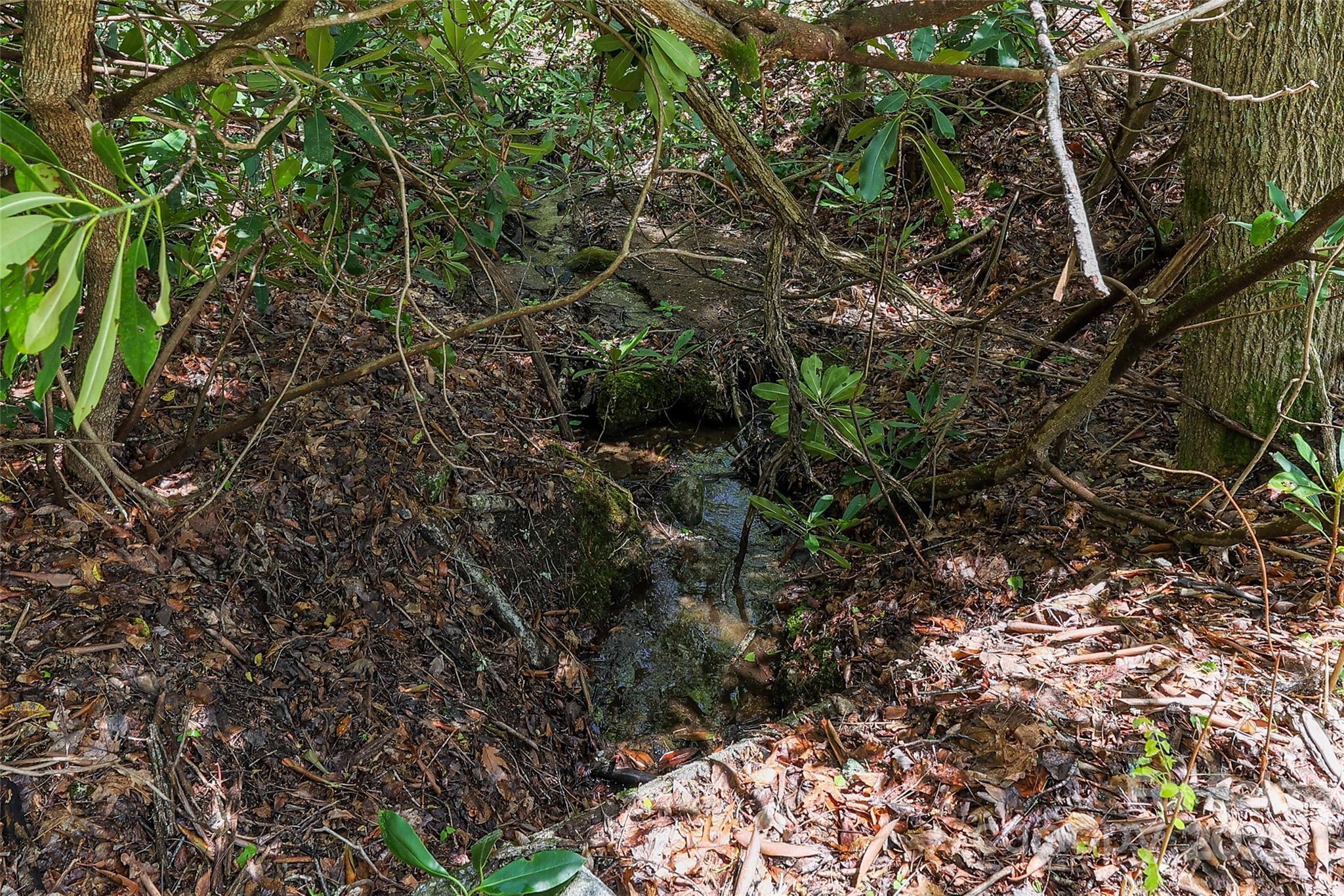 Cullasaja Club - Residential