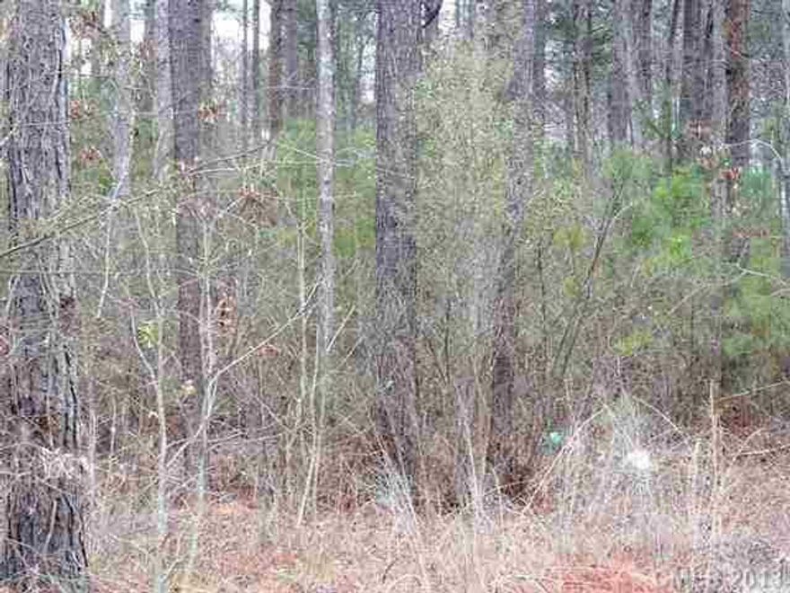 Wonderful location and large wooded lot with privacy. This is one of Rock Hill's best location for the family that wants to be in a neighborhood with a large lot, but convenient to the city.