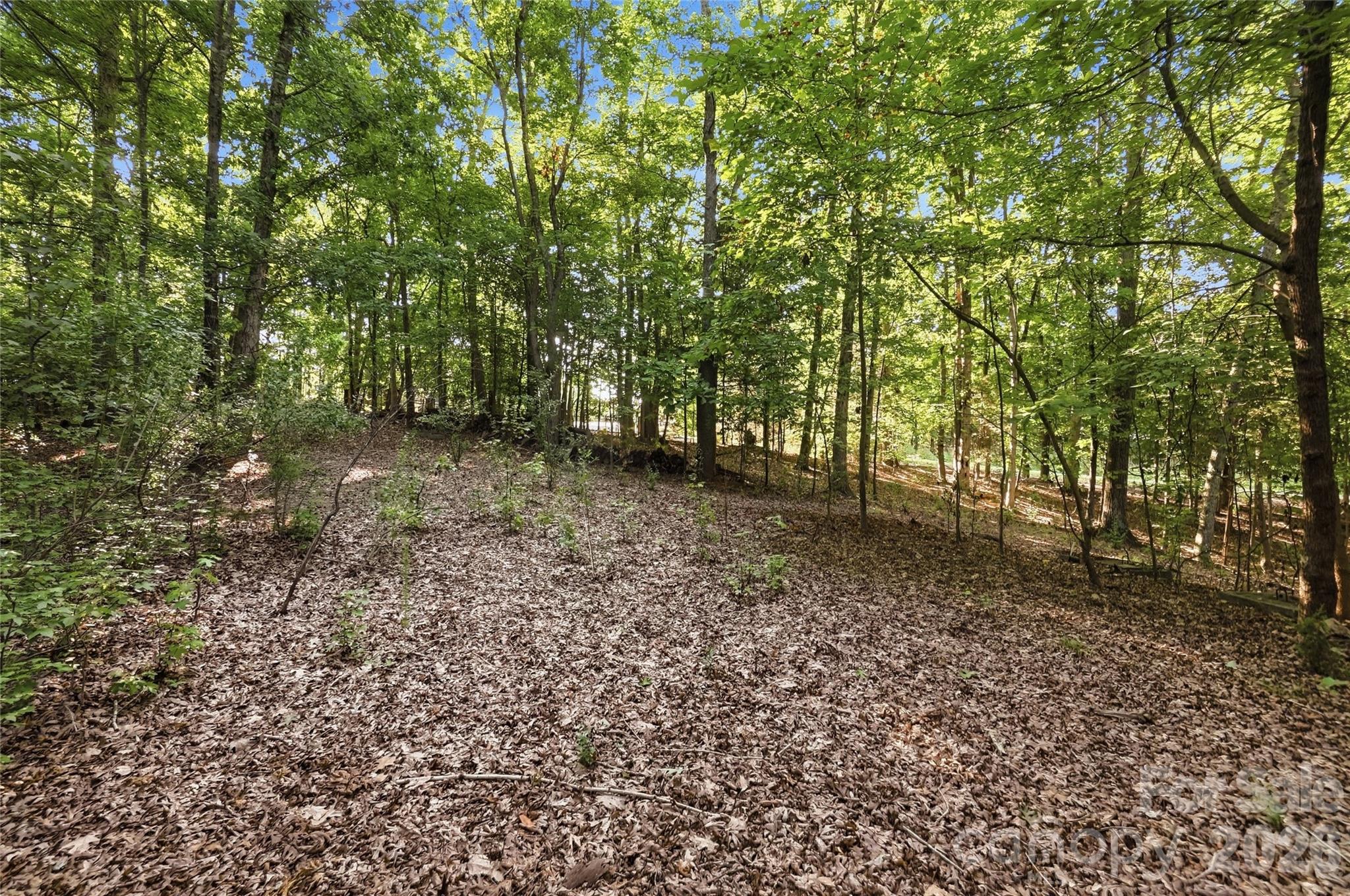 9704 Windygap Road