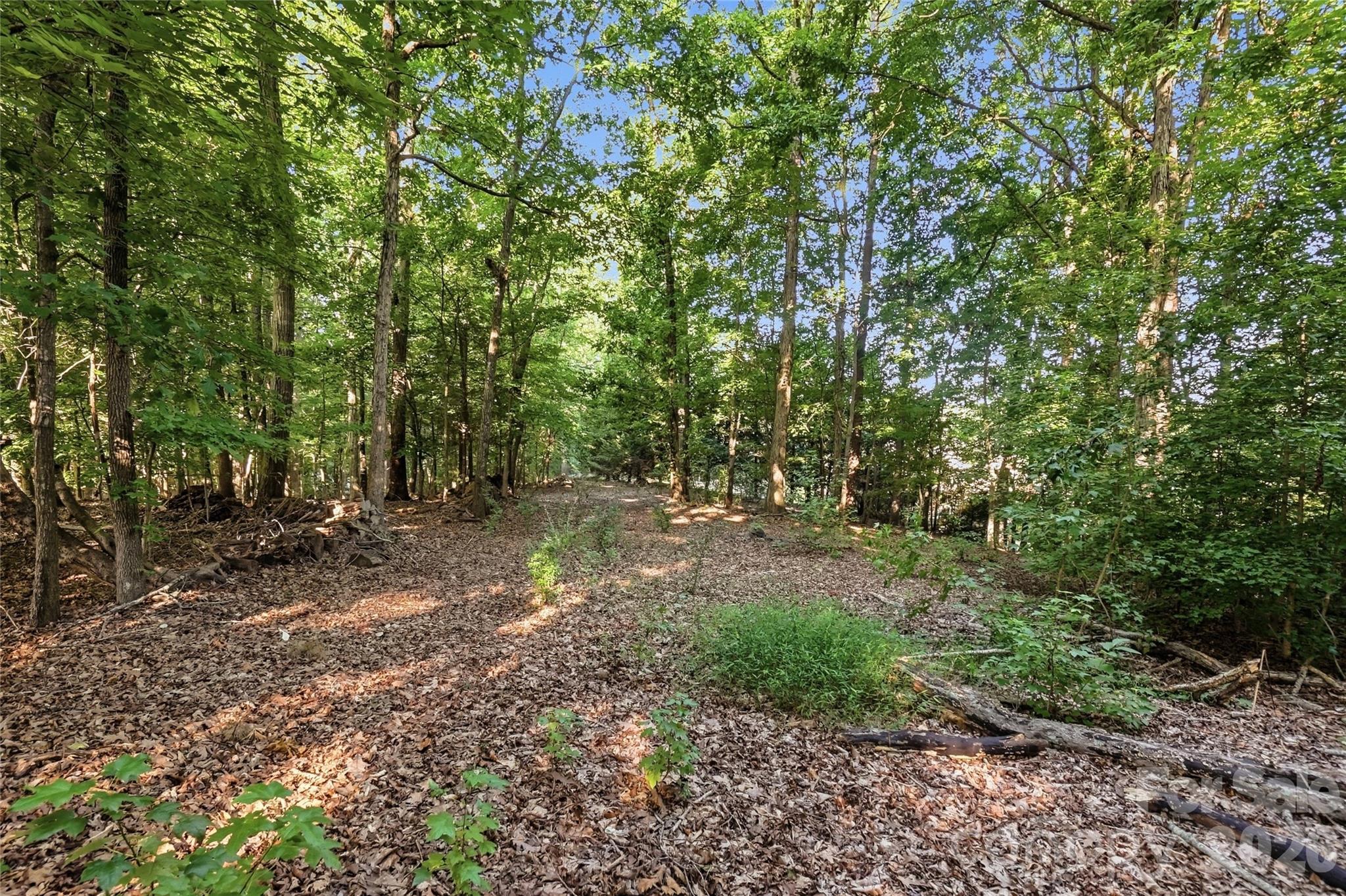 9704 Windygap Road