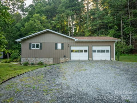 A home in Pisgah Forest