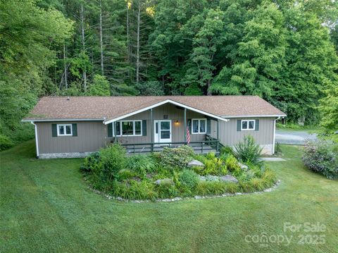 A home in Pisgah Forest