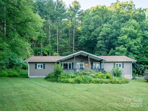 A home in Pisgah Forest