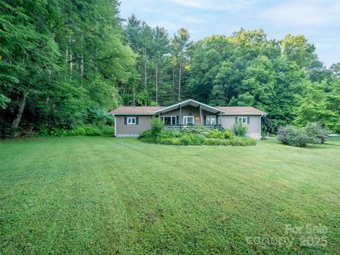 A home in Pisgah Forest