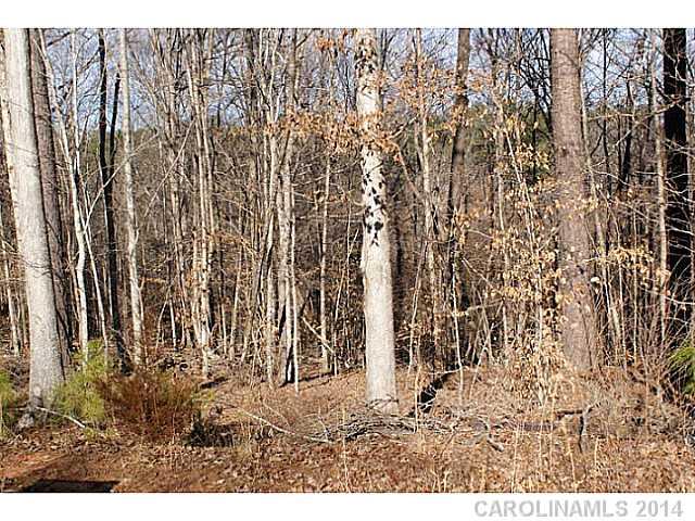 Trinity Ridge - Land