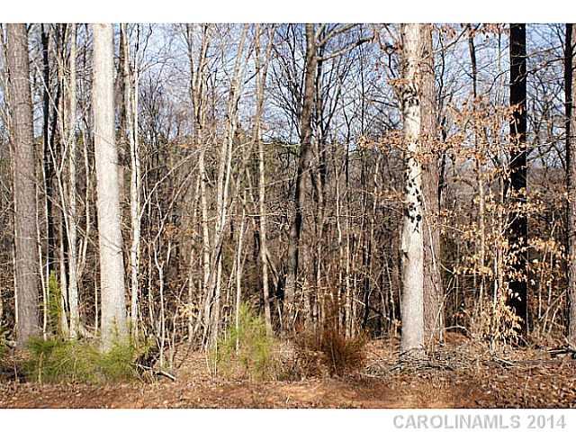 Trinity Ridge - Land