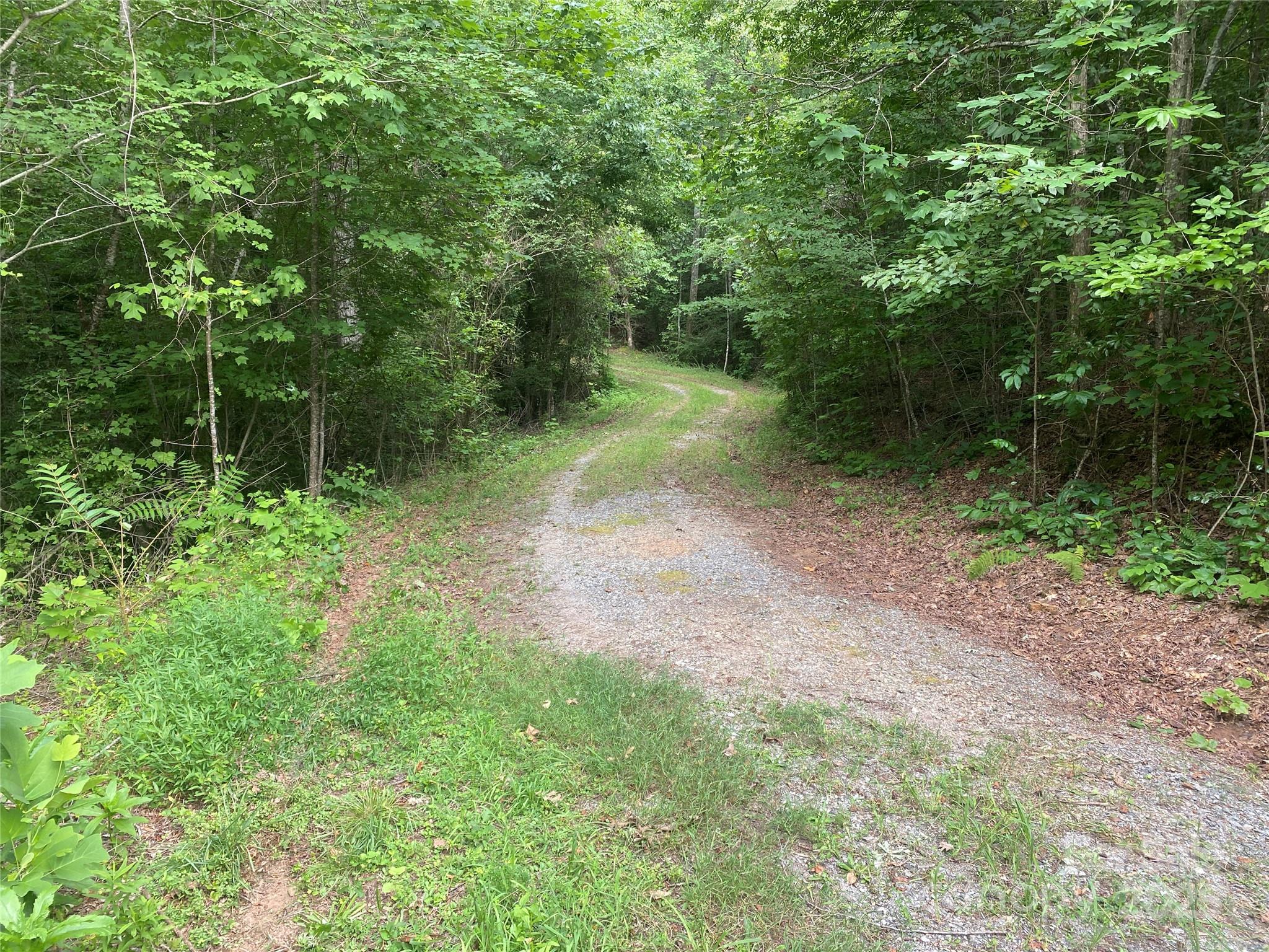 00 Jackson White Road