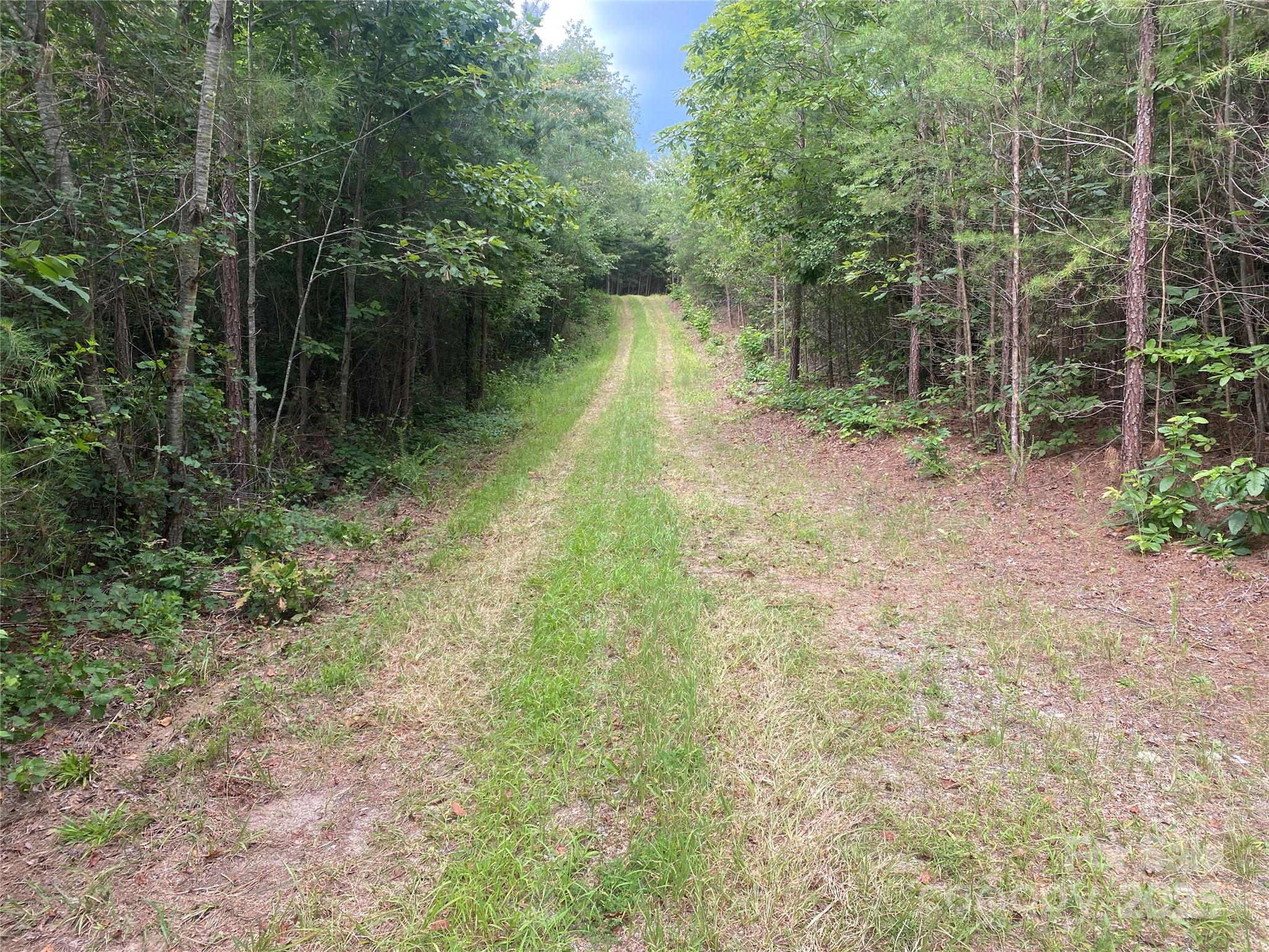 00 Jackson White Road