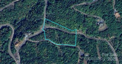 Lot 116 Owls Ridge Drive Bostic NC 28018