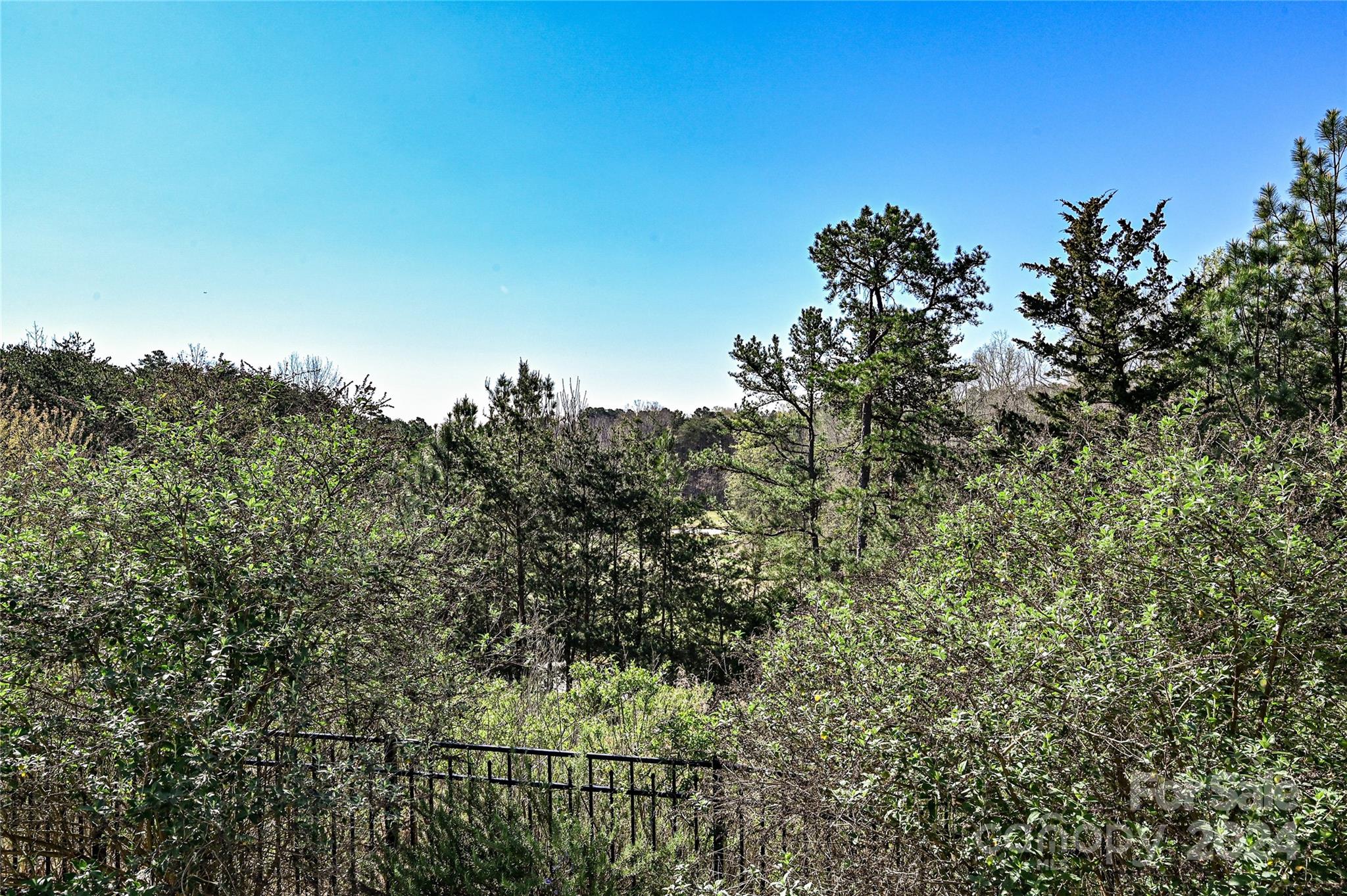 Lake Shore - Residential