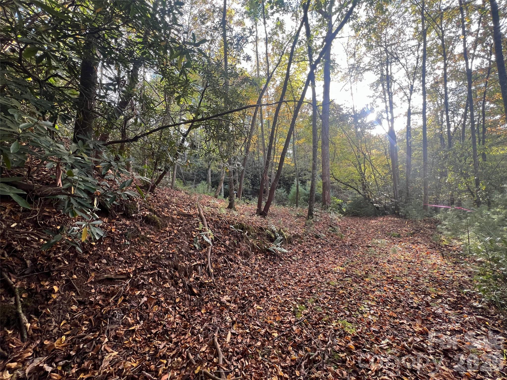 The Cliffs at Walnut Cove - Land