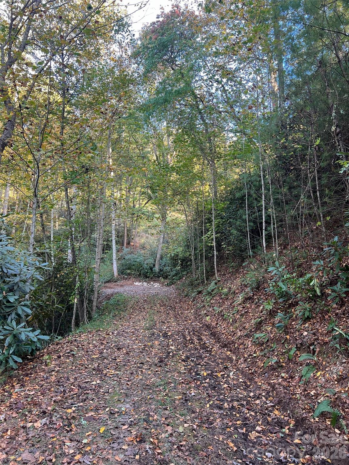 The Cliffs at Walnut Cove - Land