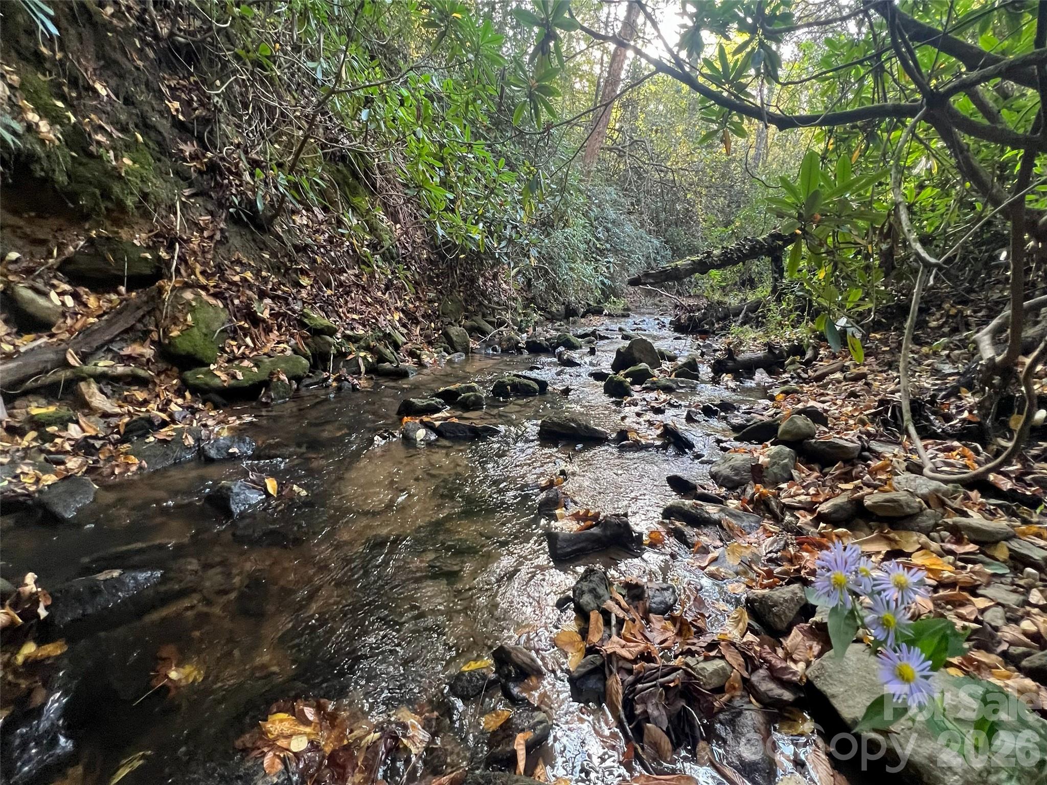 The Cliffs at Walnut Cove - Land