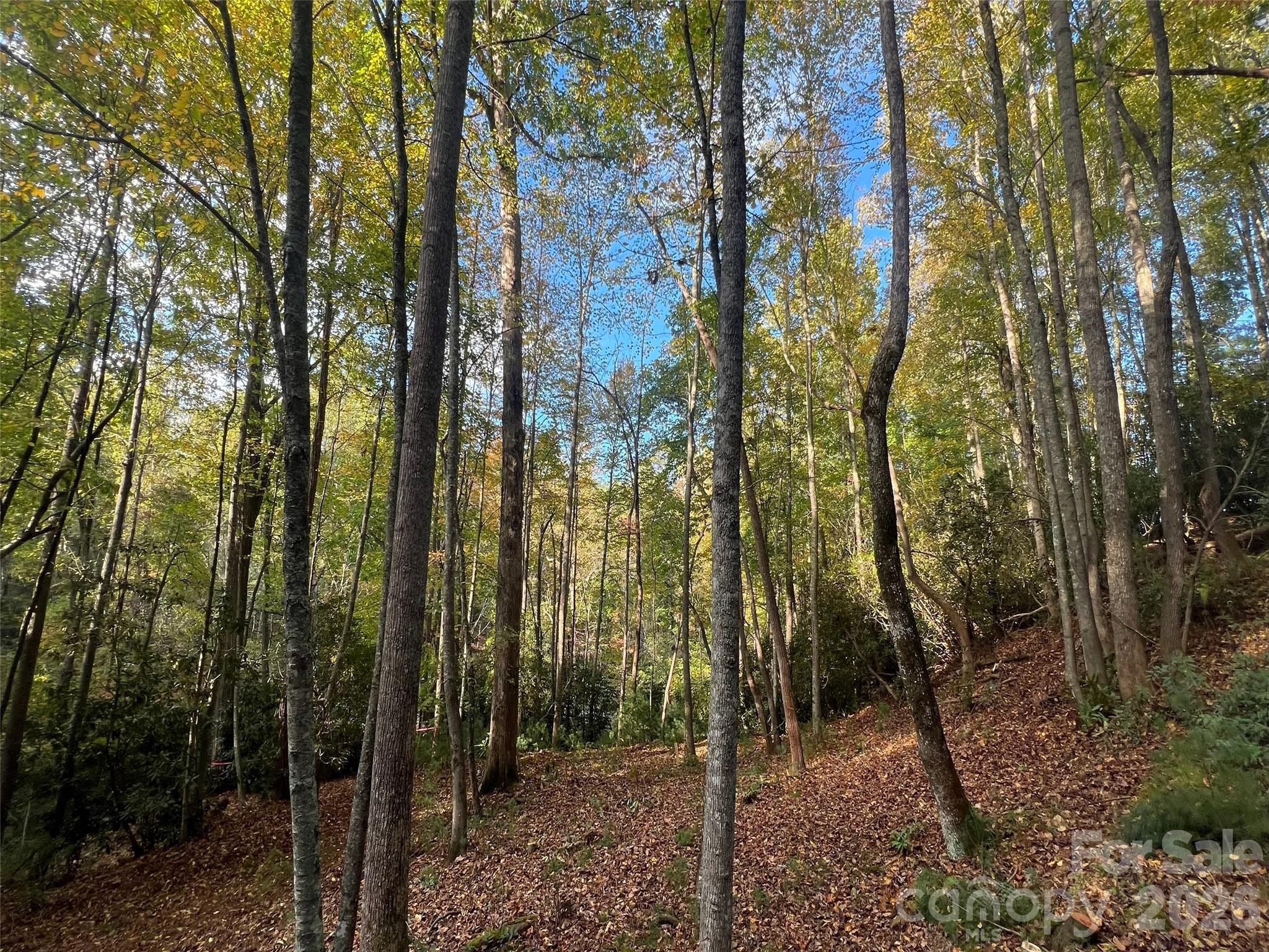 The Cliffs at Walnut Cove - Land
