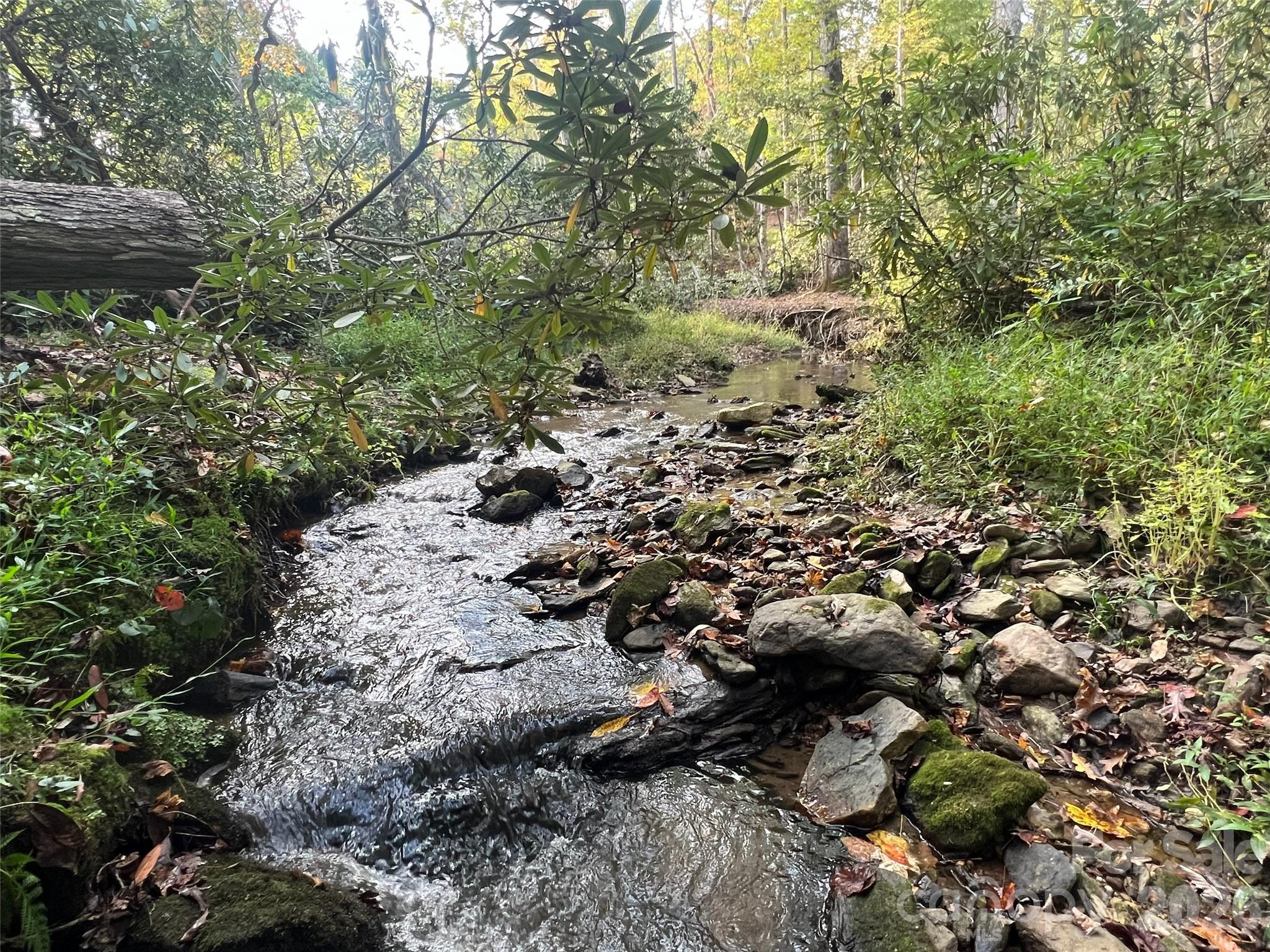The Cliffs at Walnut Cove - Land