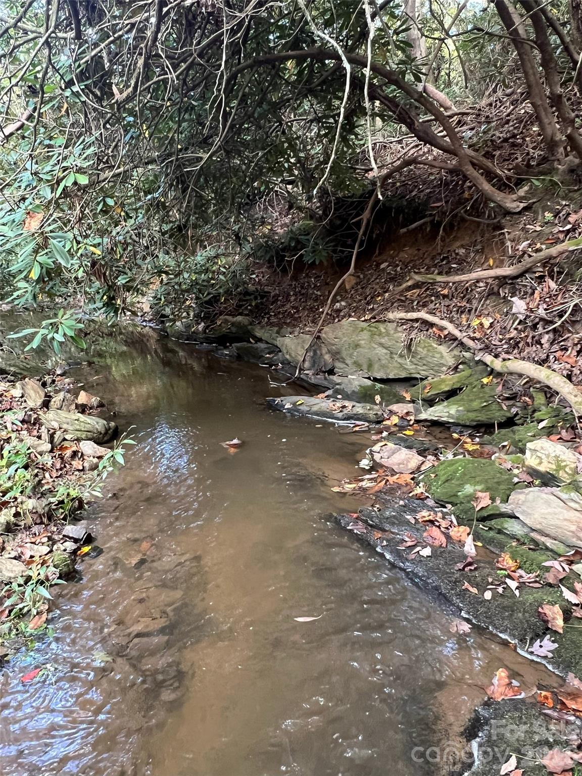 The Cliffs at Walnut Cove - Land