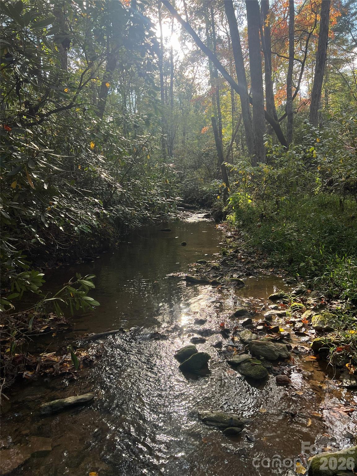 The Cliffs at Walnut Cove - Land