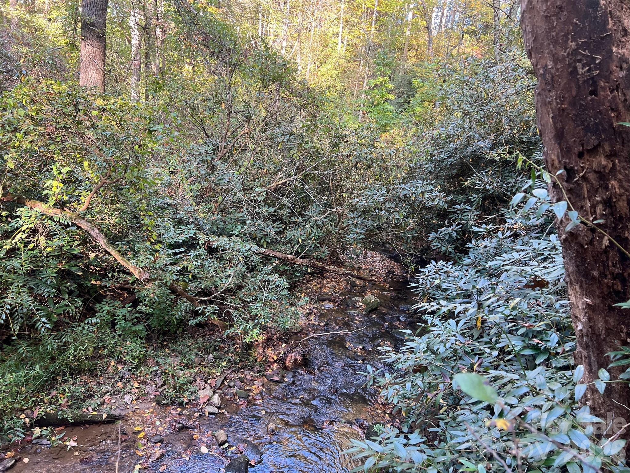 The Cliffs at Walnut Cove - Land