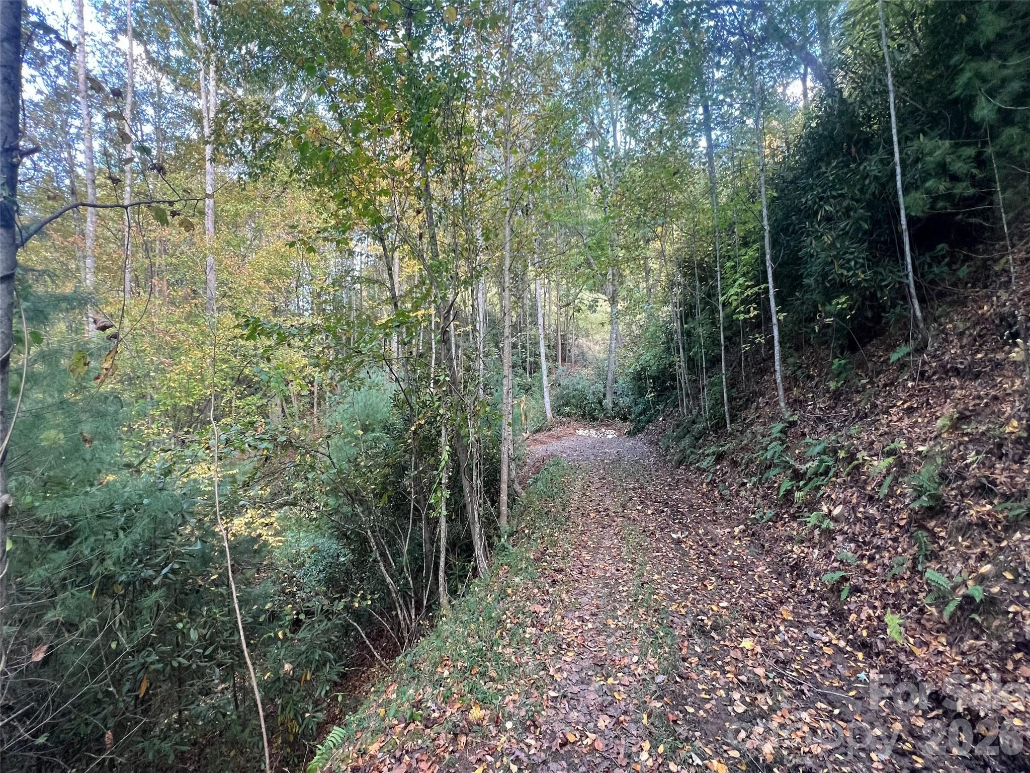 The Cliffs at Walnut Cove - Land