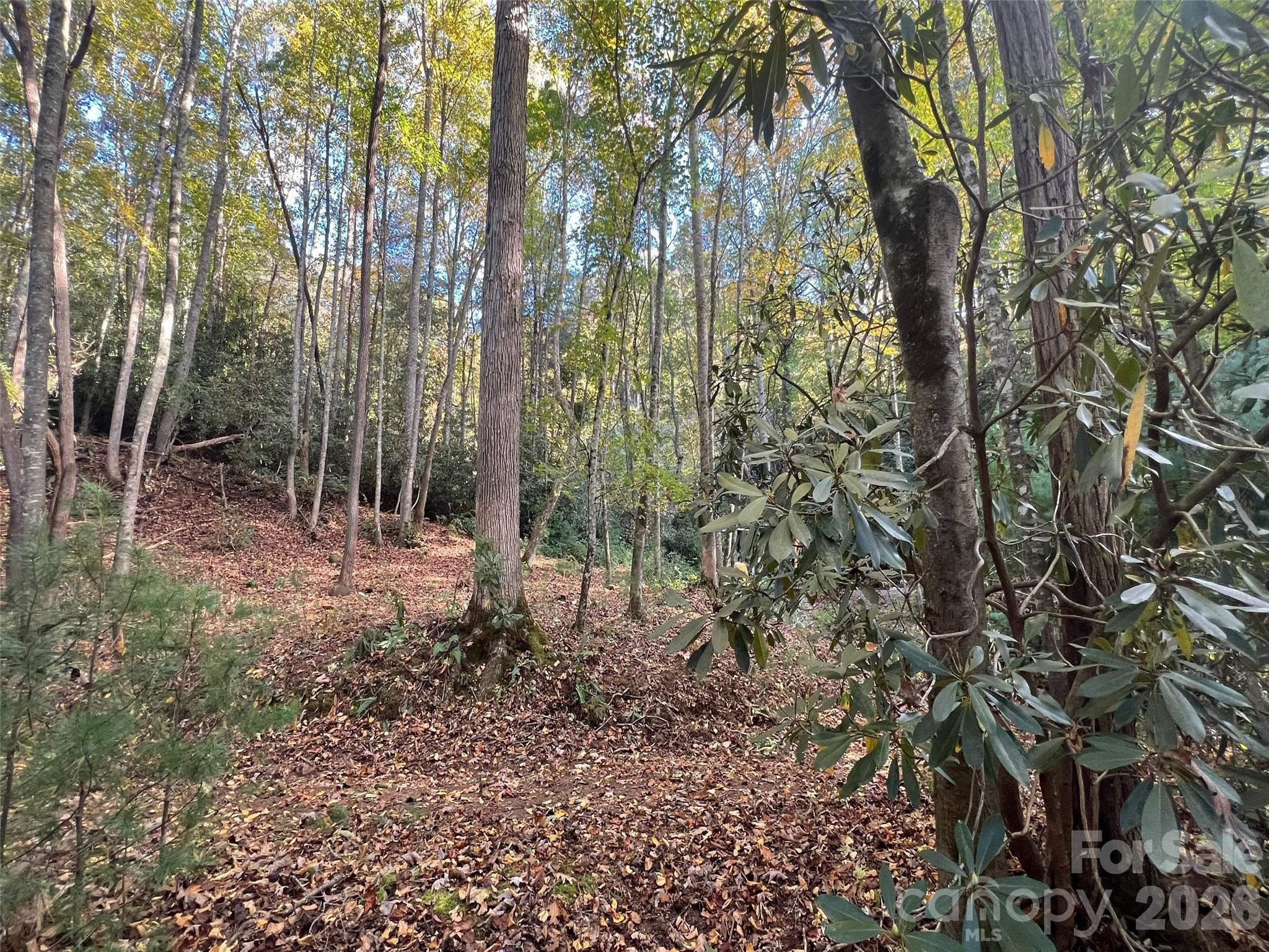 The Cliffs at Walnut Cove - Land