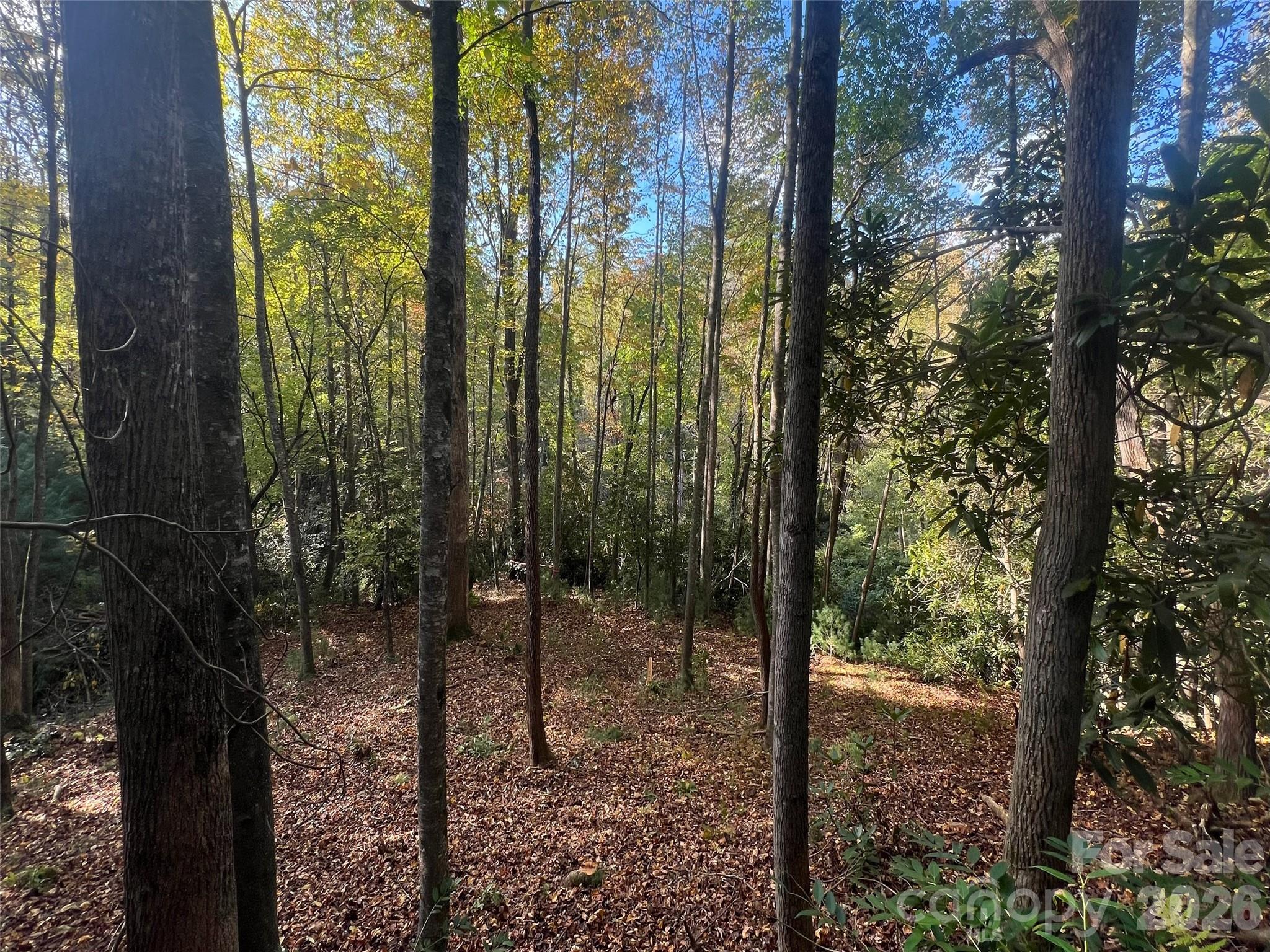 The Cliffs at Walnut Cove - Land