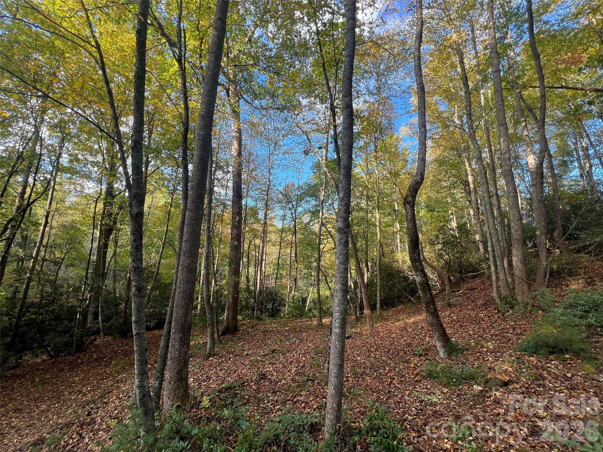 The Cliffs at Walnut Cove - Land