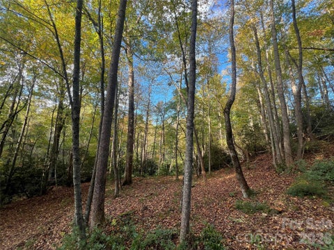 Photo for 6 Dividing Ridge Trail 01