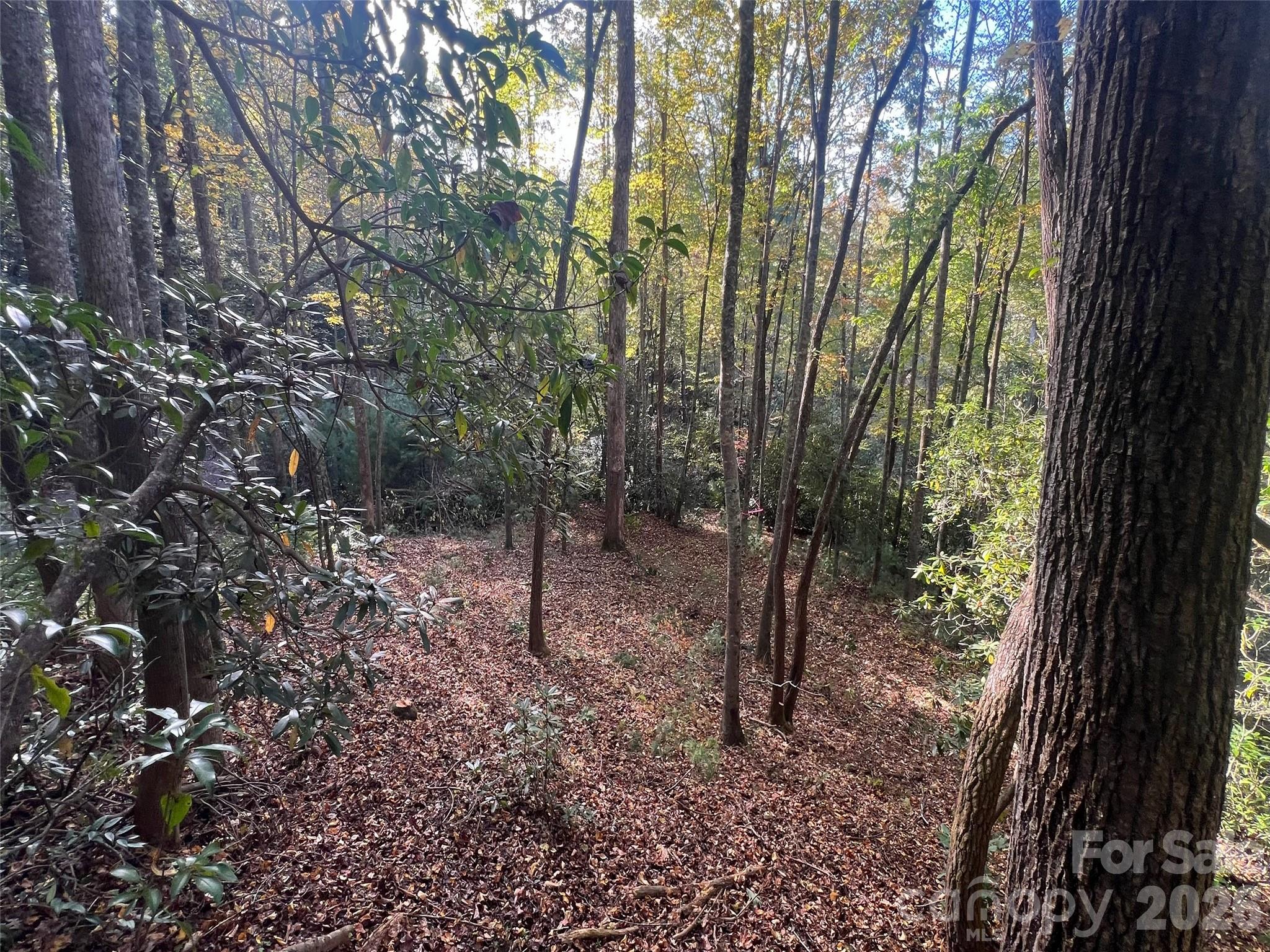 The Cliffs at Walnut Cove - Land