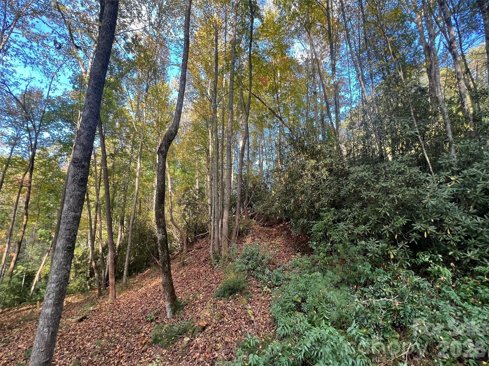 The Cliffs at Walnut Cove - Land