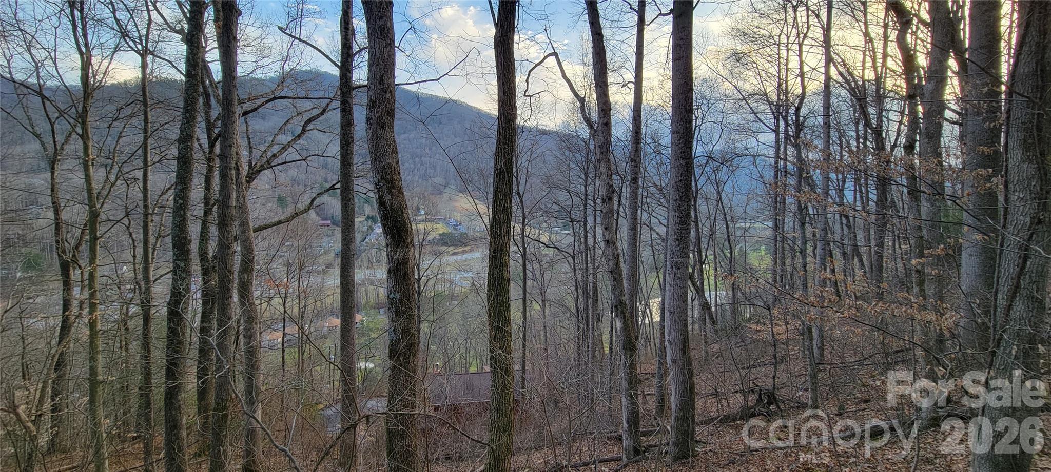 Maggie Valley Country Club Est - Residential