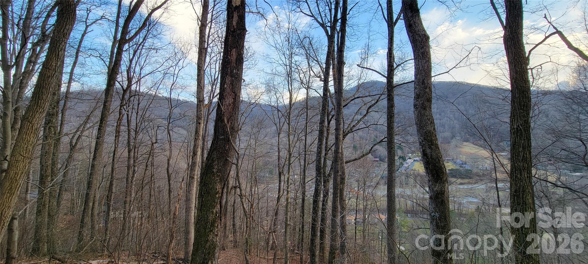 Maggie Valley Country Club Est - Residential