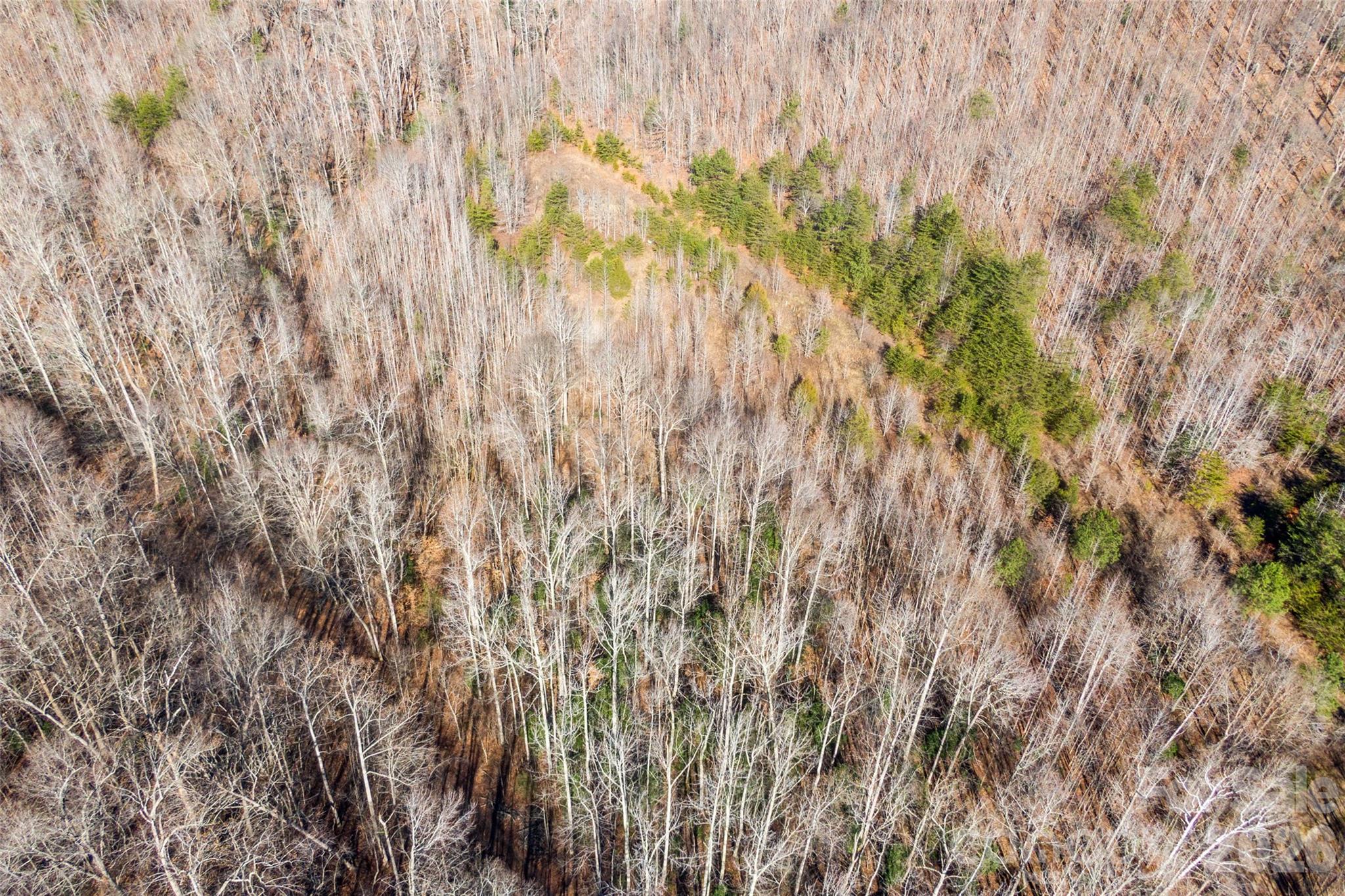 Cherry Mountain Trail - Land