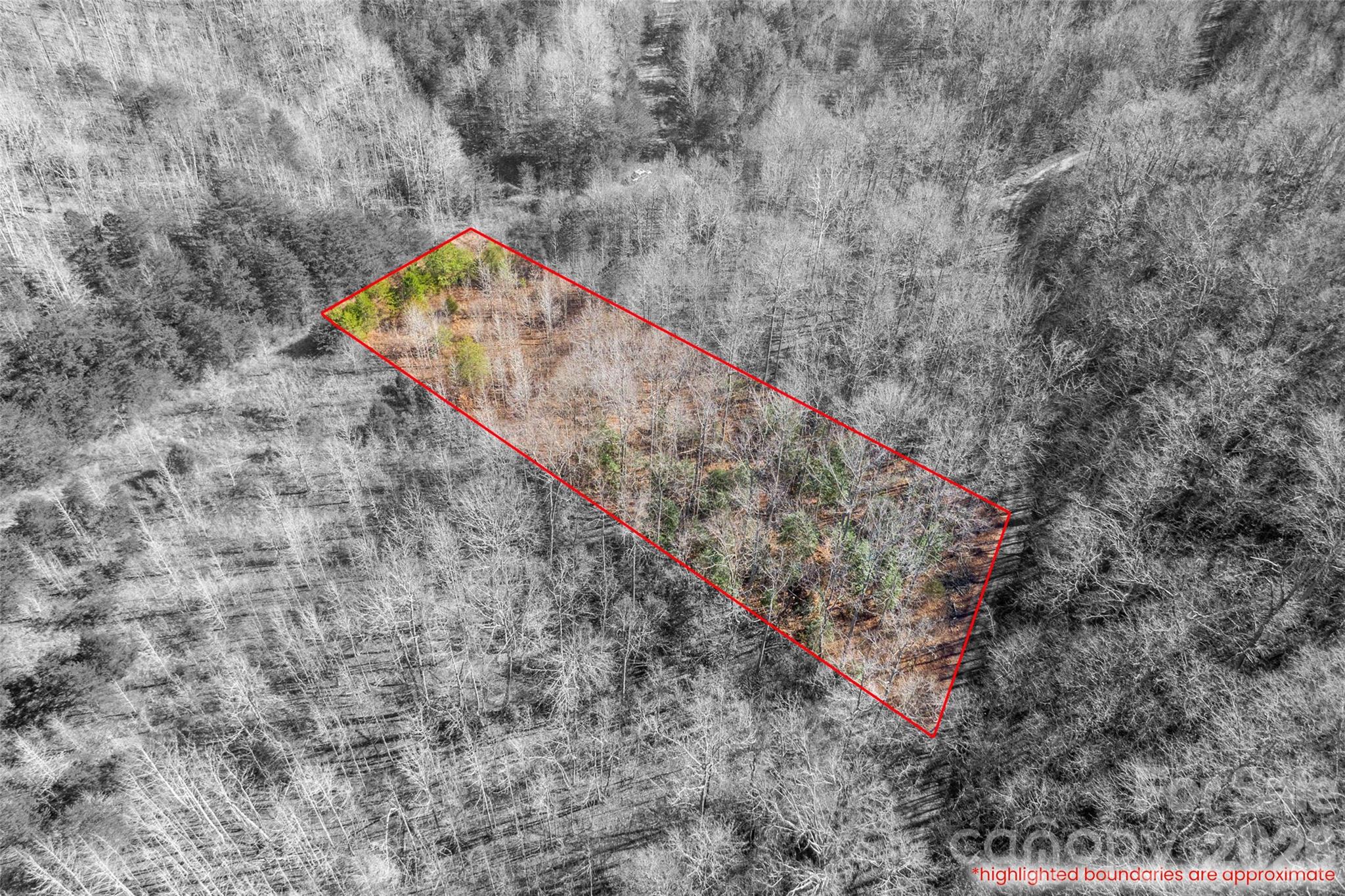 Cherry Mountain Trail - Land