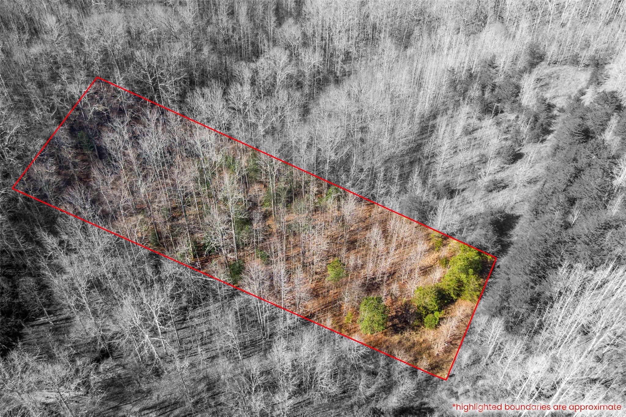 0 W Pasture Drive 36