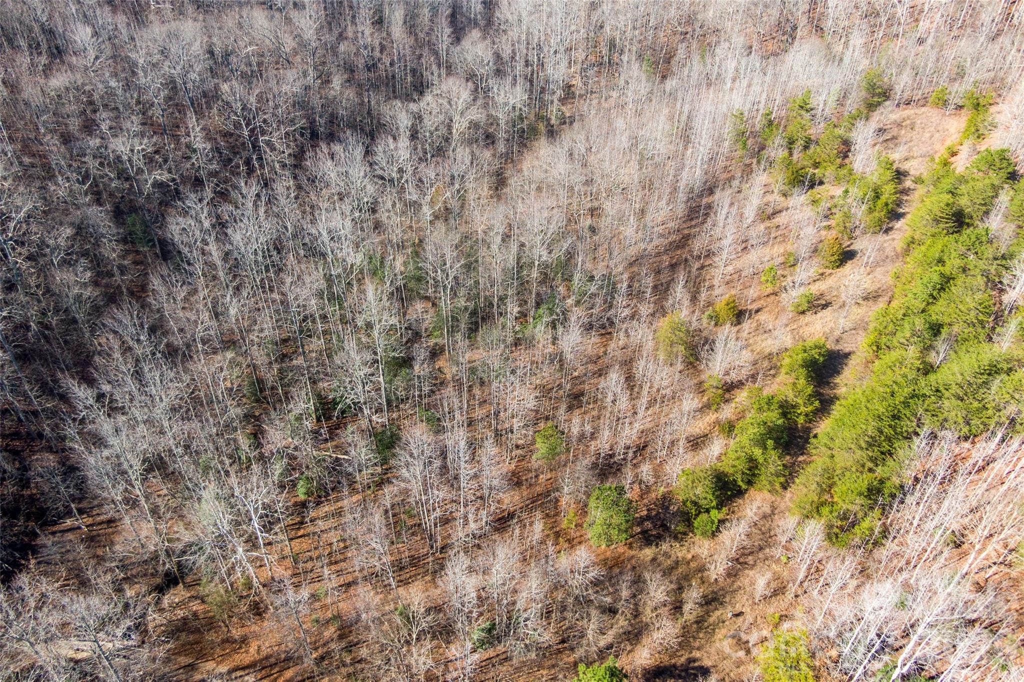 0 W Pasture Drive 36