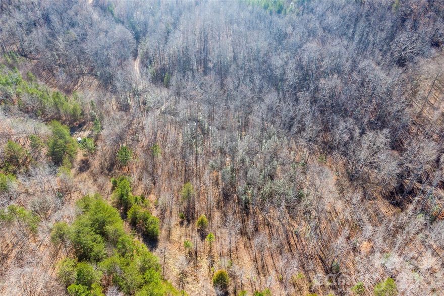 Tucked away in the peaceful Cherry Mountain Trails community, this beautiful 0.88-acre vacant lot offers the perfect blend of privacy and natural charm. A gentle creek winds through the property, creating a serene setting surrounded by lush woods and scenic beauty. Located off the beaten path, this lot is ideal for those seeking a quiet retreat while still being within a reasonable drive to nearby towns. With a minimum 1,400 sq ft build requirement, this property provides an excellent opportunity to create your dream home in a truly tranquil environment. If you’re looking for seclusion, nature, and a picturesque setting, this lot is a must see!