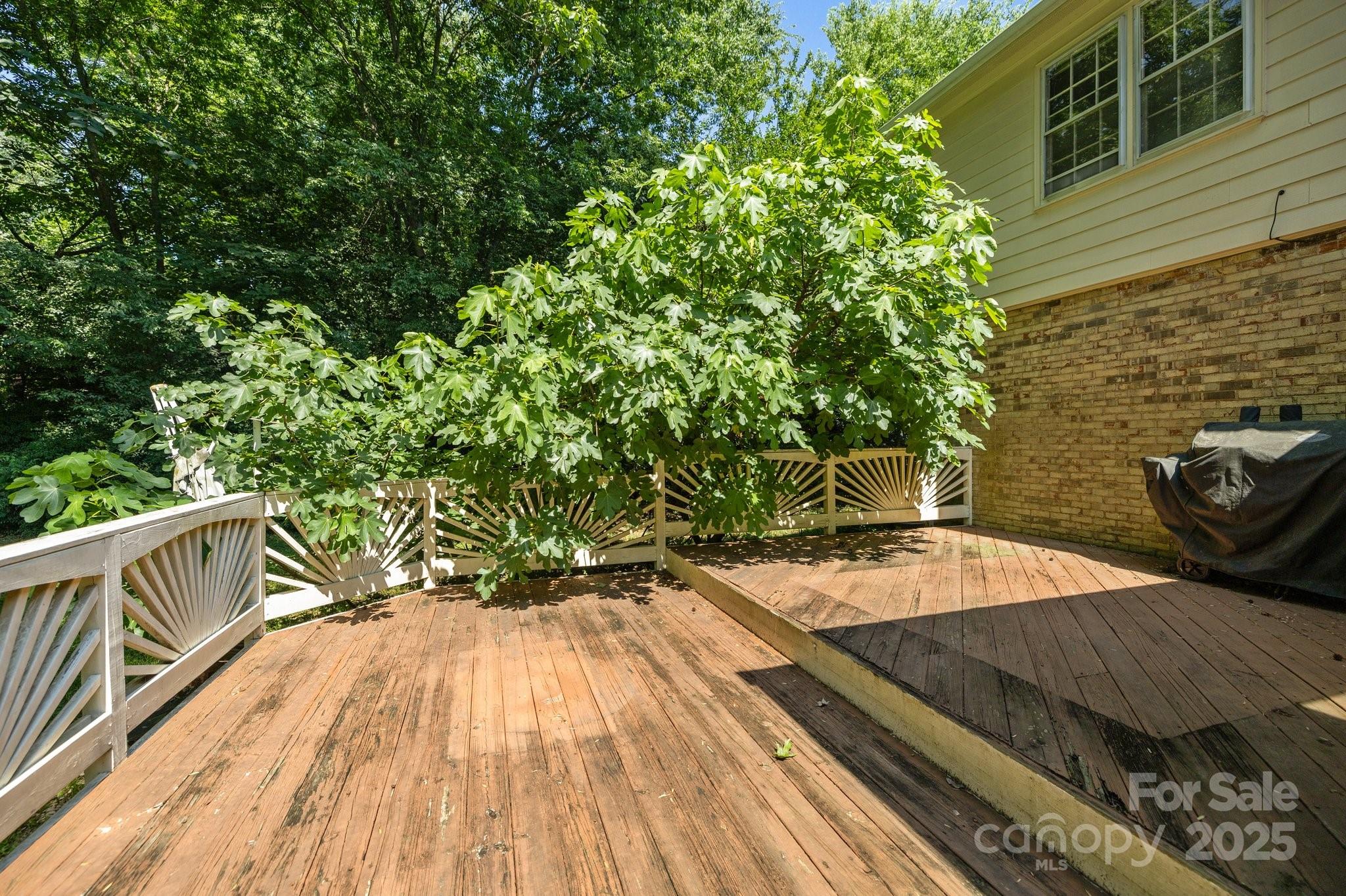 3520 Rea Road