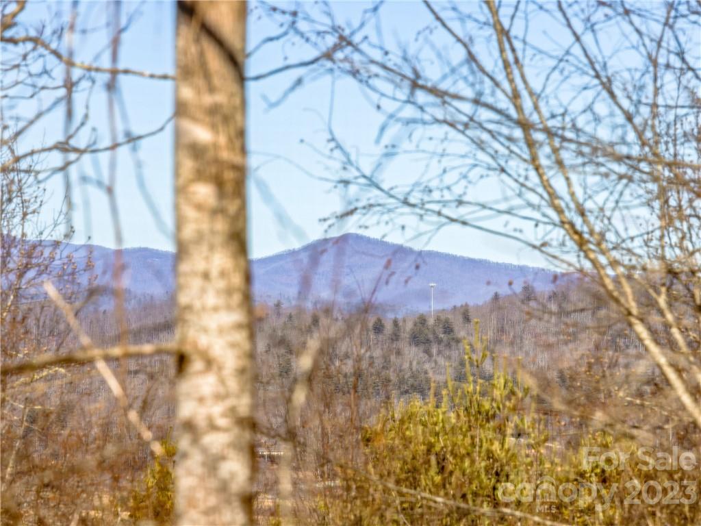 Walnut Hills - Residential