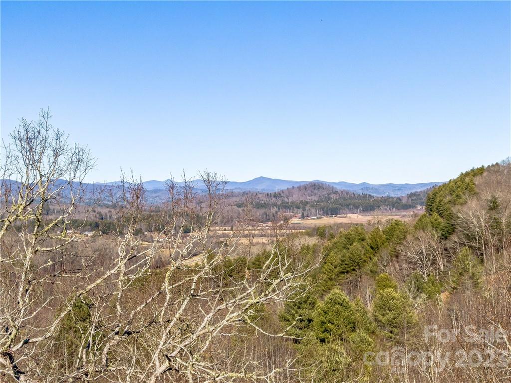 Walnut Hills - Residential