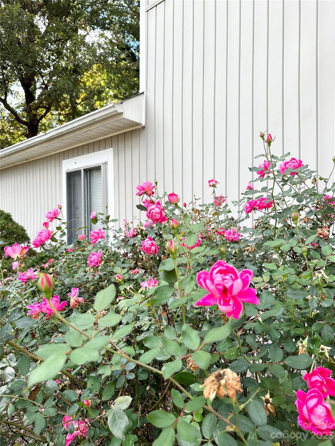 Briarwood Heights - Residential