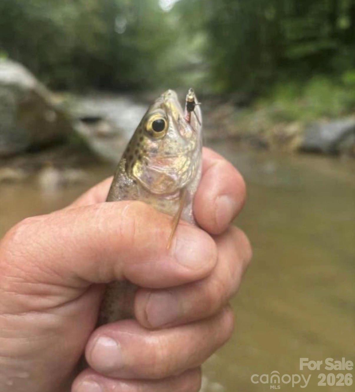 Rivers Rest - Residential