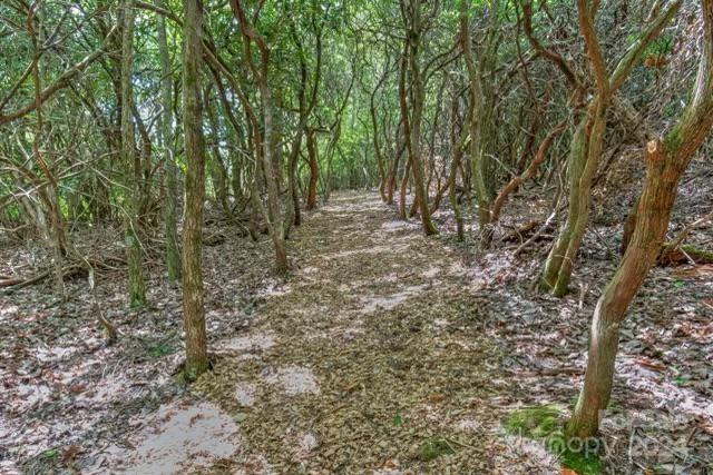 Pisgah Forest Farms - Residential